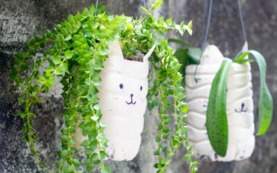 Reuse puts items to good use