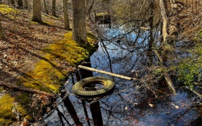The good, the bad, and the not-so-ugly: Findings from the KAB 2020 National Litter Study