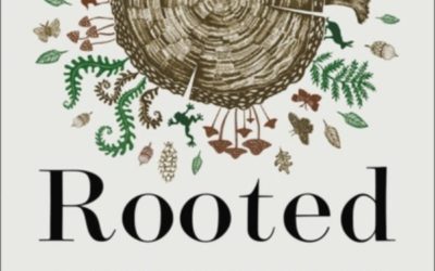 Be “Rooted”