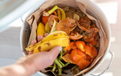 Quick Tips for Food Scraps