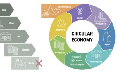 Strategic Steps Toward a Circular Economy