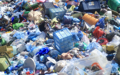 Navigating the Plastic Predicament