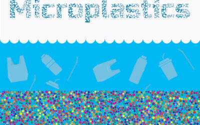 Microplastics are here, there, and everywhere