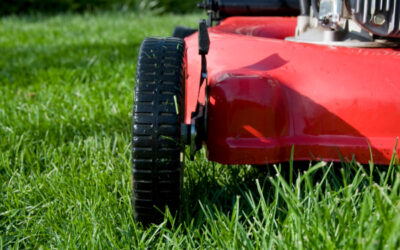 The grass is greener when you grasscycle!