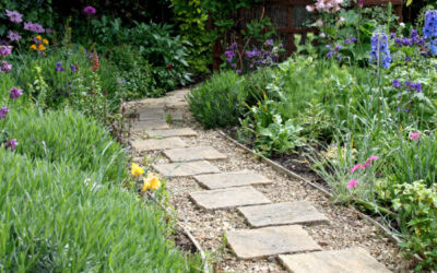 Ditch your lawn!
