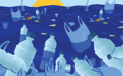 A tsunami of plastic