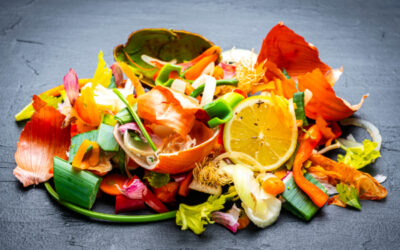 Food Waste Takes a (slight) Dip!